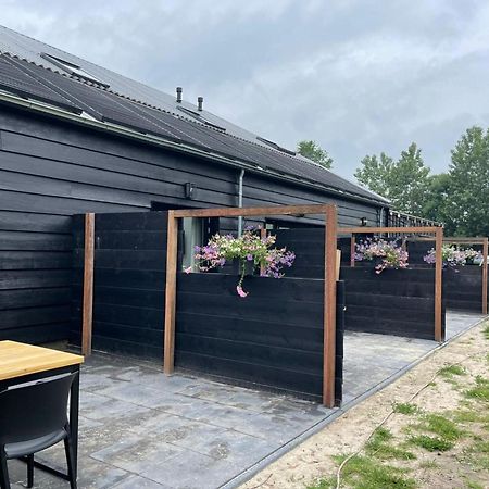 Cozy Holiday Home In Vrouwenpolder Close To The Beach Екстер'єр фото