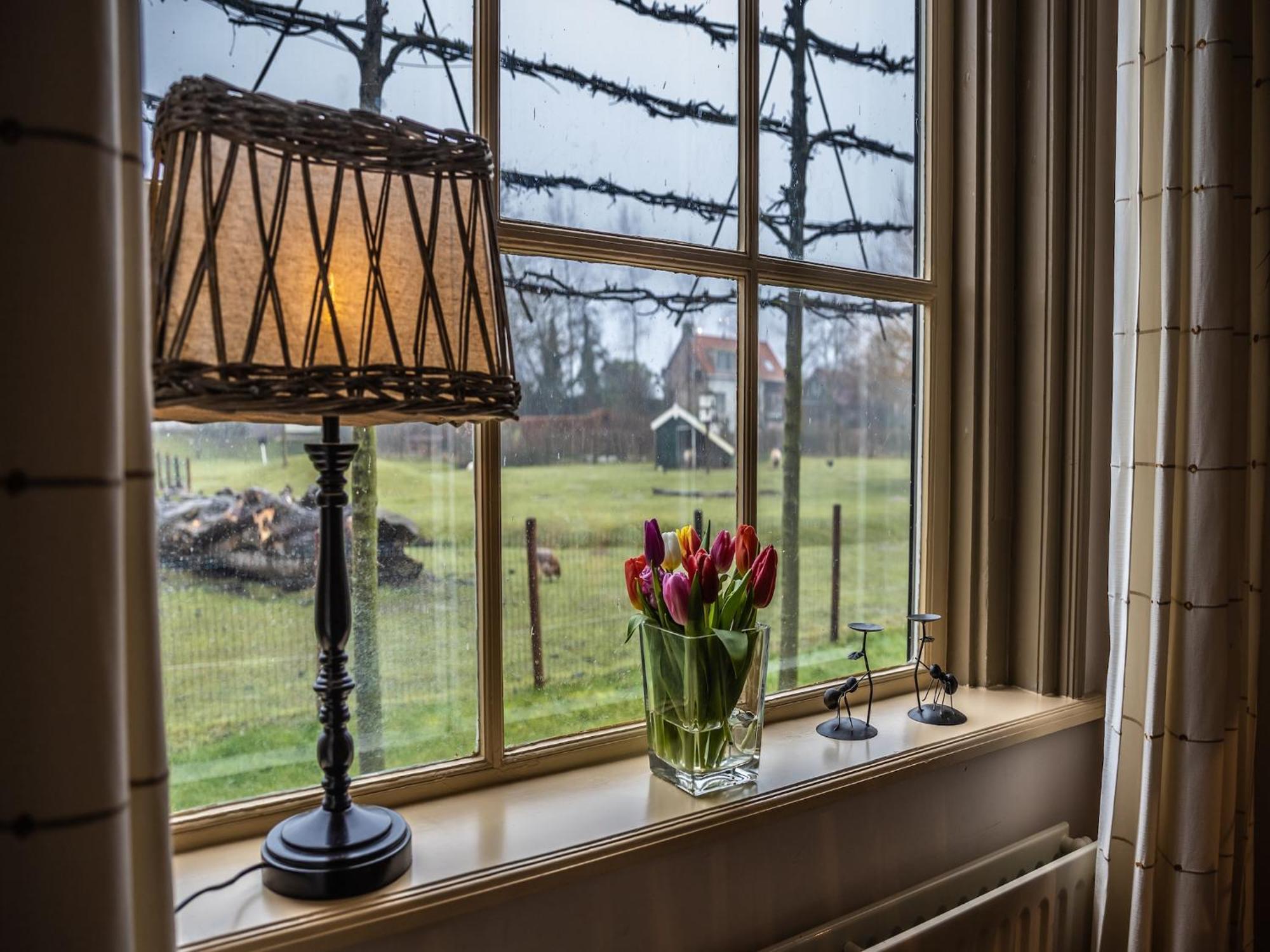 Cozy Holiday Home In Vrouwenpolder Close To The Beach Екстер'єр фото